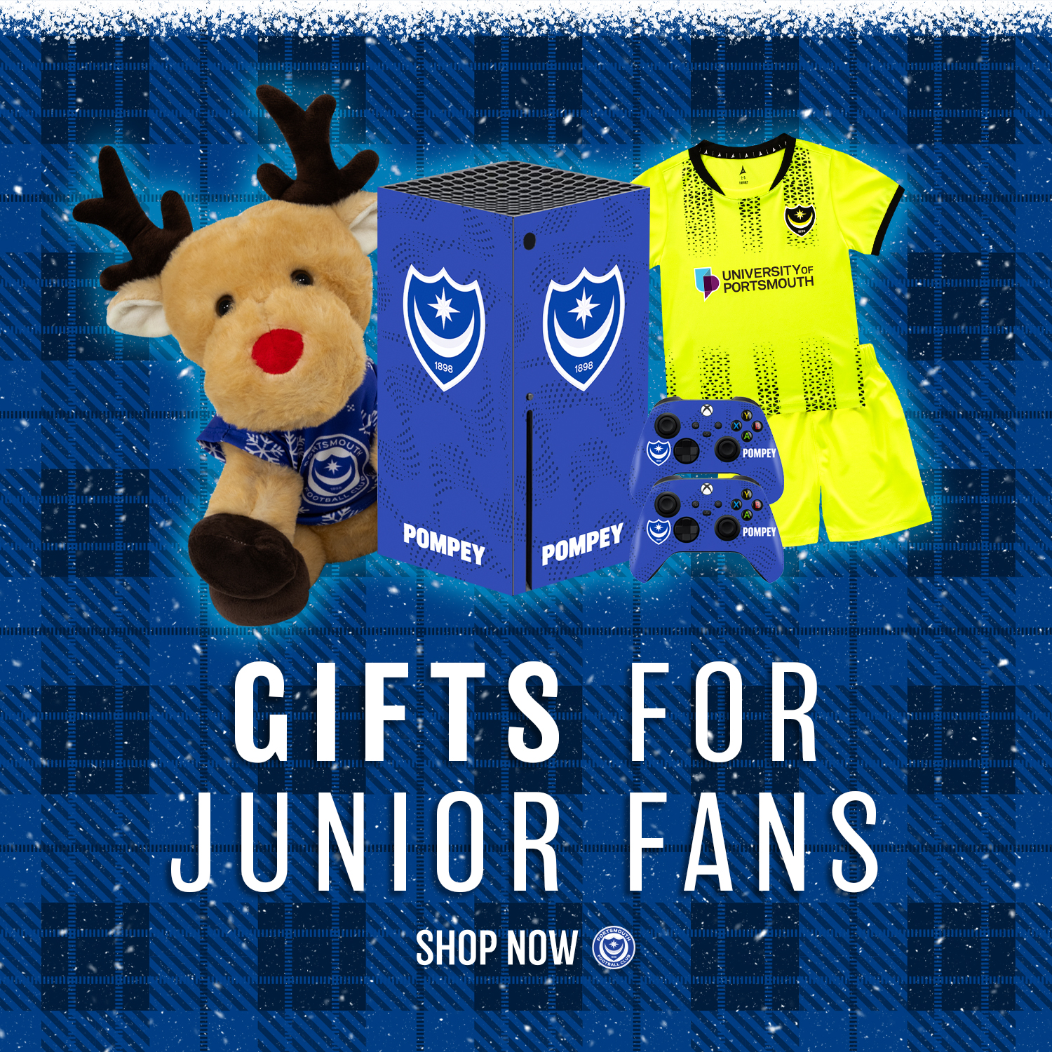 Picture for category Christmas Gifts for Junior Fans